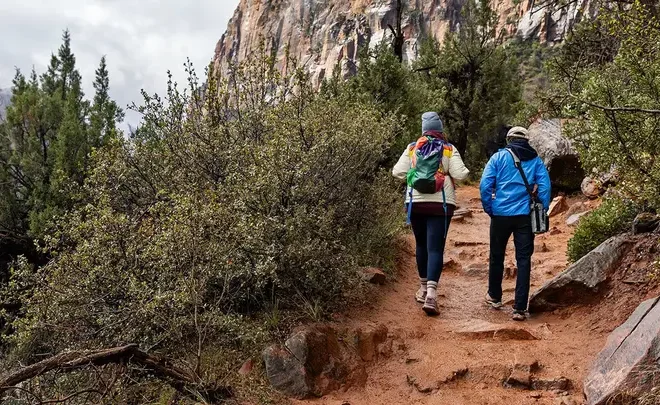 Deadly Week at Zion National Park Sparks Debate Over Risk, Experience and Safety